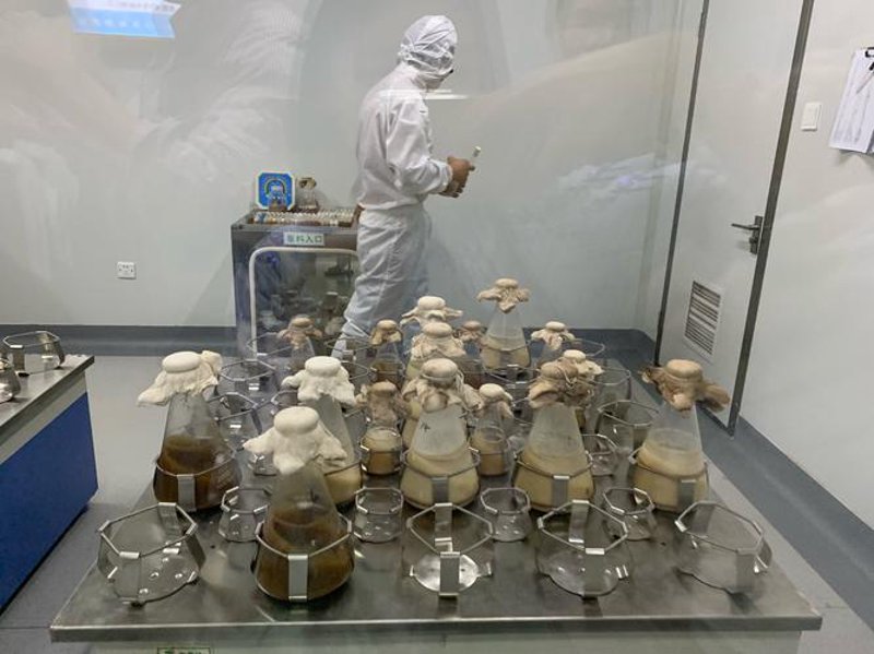 探索未来：生物技术研发行业的新篇章