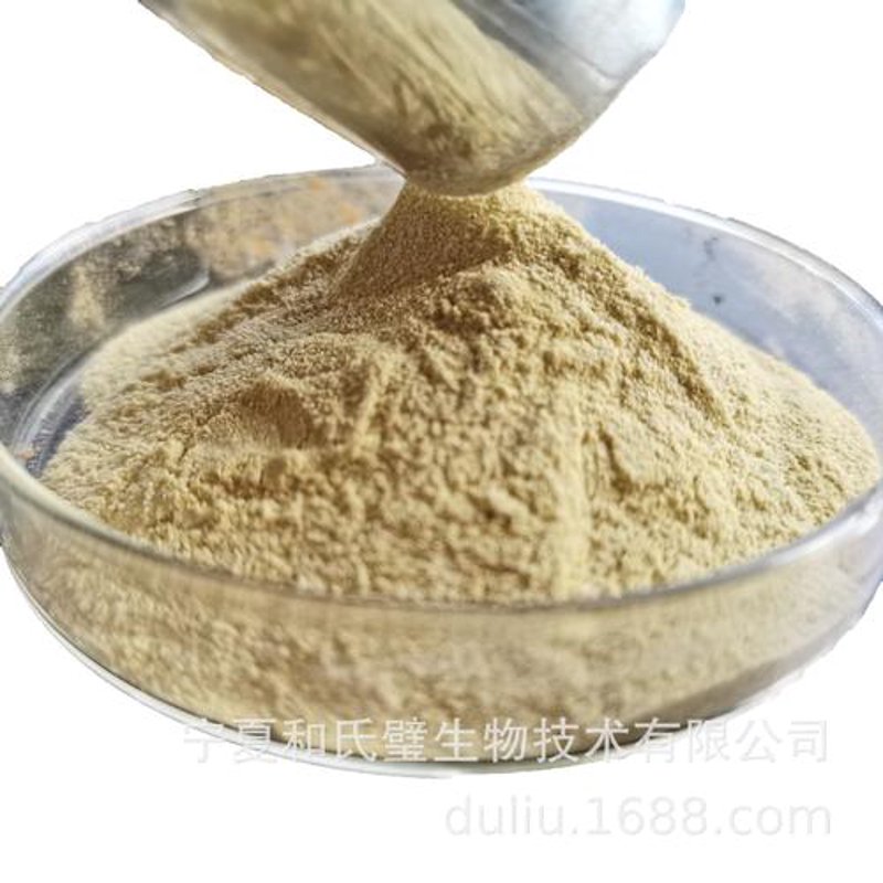 生物技术研发：开启生命科技新时代