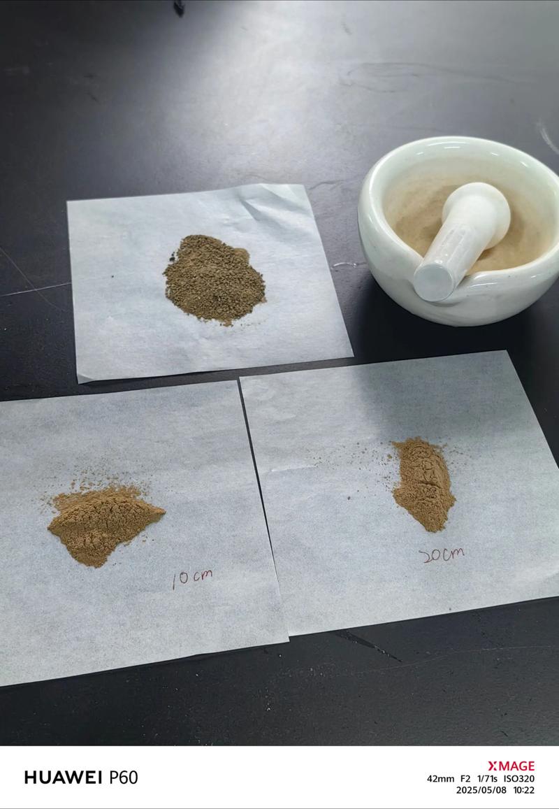 生物科技在肇庆的发展与机遇